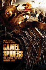 Image Camel Spiders