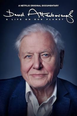 Image David Attenborough: A Life On Our Planet