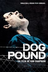 Image Dog Pound