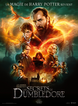 Image Les Animaux Fantastiques : Les Secrets De Dumbledore