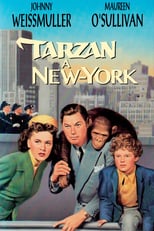 Image Les Aventures de Tarzan à New-York