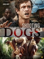 Image Shooting Dogs