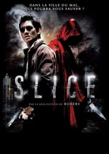 Image Slice (2009)